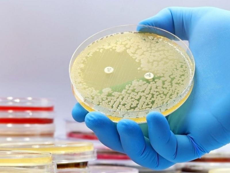 применение лабораторного технологического оборудования 